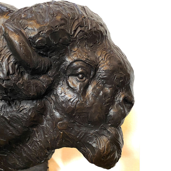 After ALEXANDER PHIMISTER PROCTOR Cast Bronze Statue, Q-Street Buffalo (7/18)