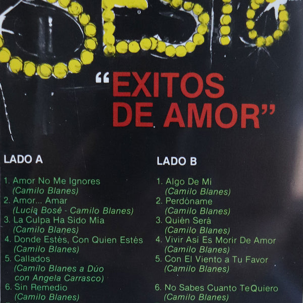 Vintage CAMILO SESTO Vinyl Record Album, 15 Exitos de Amor