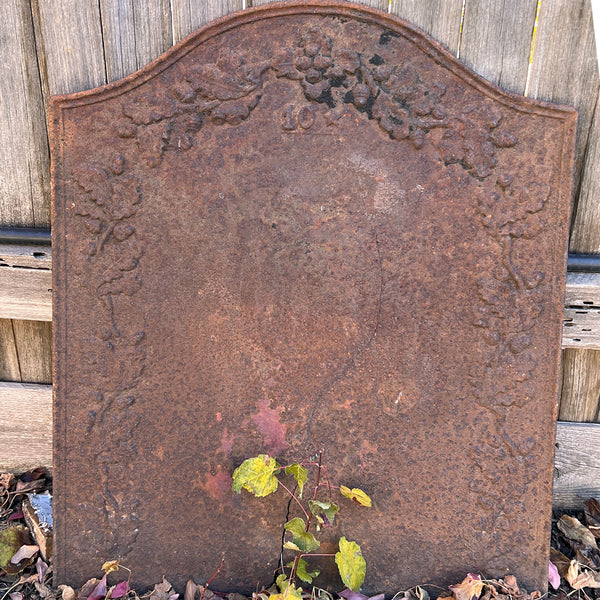 French Provincial Cast Iron Acorn and Oak Leaf Fireplace Fireback