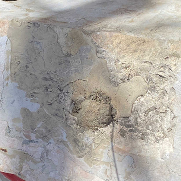 French Gothic Revival Hard Stone Fountain Pedestal Basin