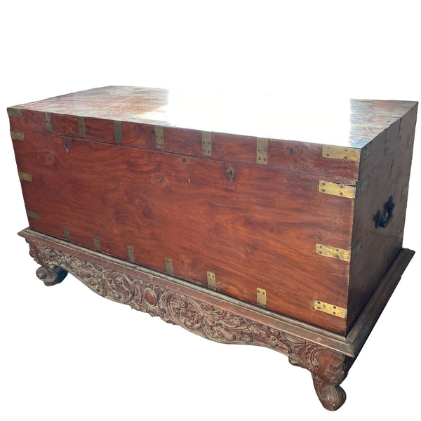 Large Anglo Indian Solid Mahogany Campaign Blanket Chest on Stand