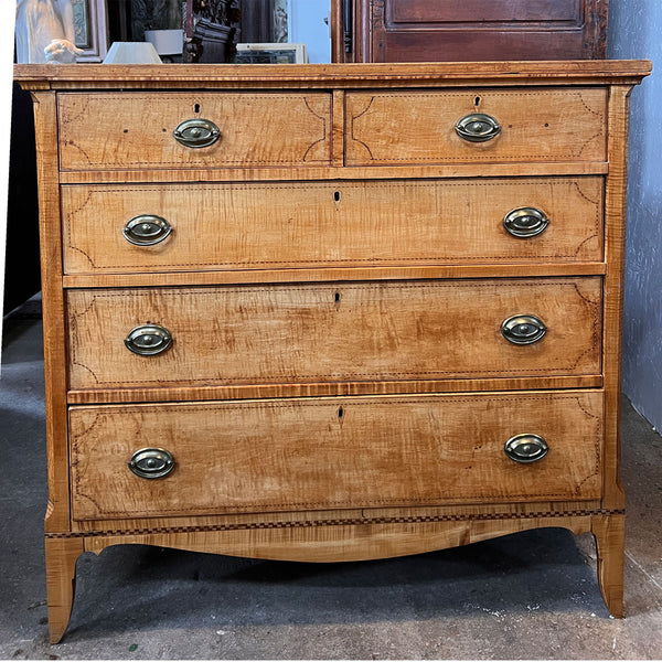 American East Tennessee Federal Inlaid Tiger Maple Chest of Drawers