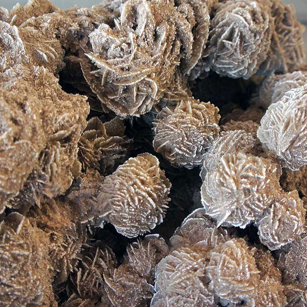 Very Large Selenite Desert Rose Crystal Cluster Rock Formation