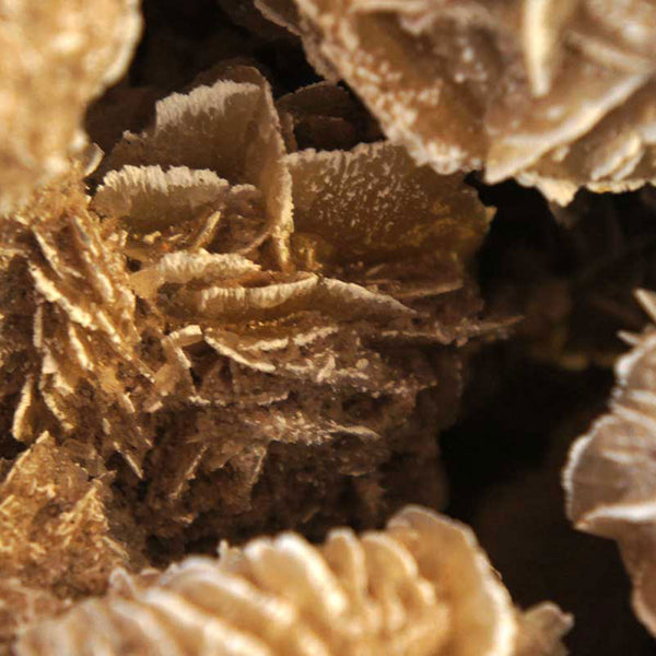 Very Large Selenite Desert Rose Crystal Cluster Rock Formation