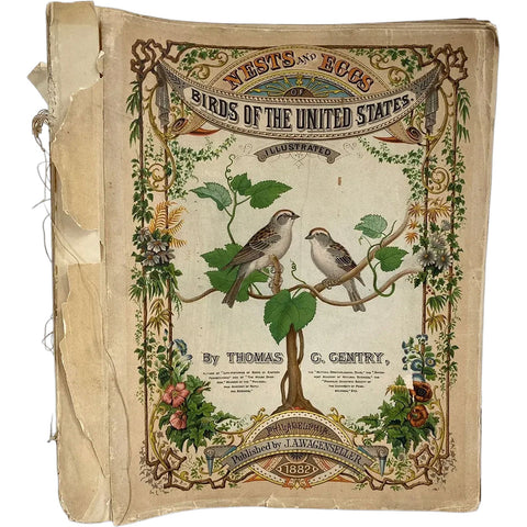 Rare Book THOMAS G. GENTRY Nests and Eggs of Birds of the United States