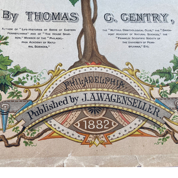 Rare Book THOMAS G. GENTRY Nests and Eggs of Birds of the United States