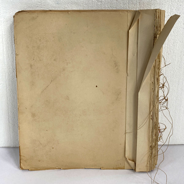 Rare Book THOMAS G. GENTRY Nests and Eggs of Birds of the United States