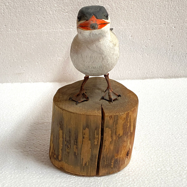 American ROBERT KURKEWICZ Painted Wood Common Tern Bird Carving