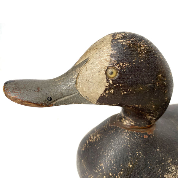 Set of Two American Mason Challenge Grade Painted Wood Bluebill Duck Decoys