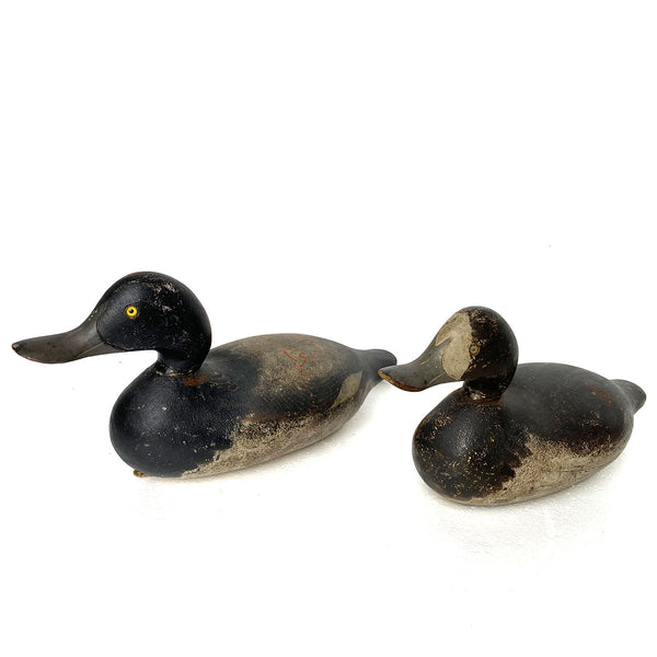 Set of Two American Mason Challenge Grade Painted Wood Bluebill Duck Decoys