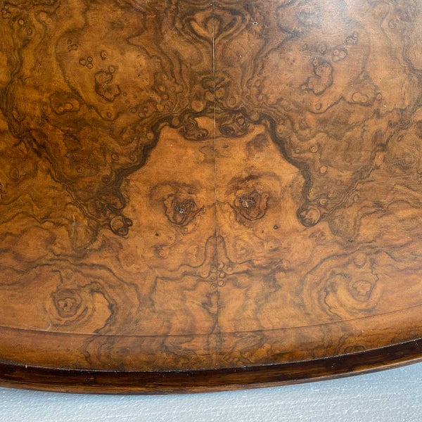 Large English Georgian Style Burled Walnut and Brass Oval Gallery Serving Tray
