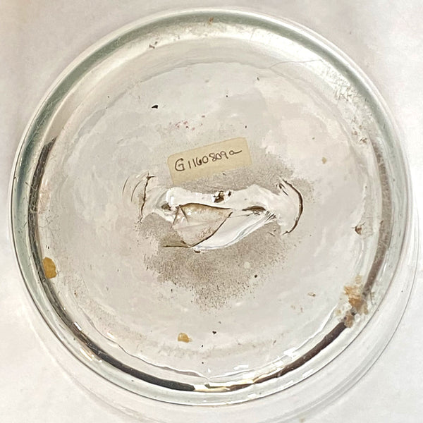 Large Bohemian Blown and Engraved Stiegel-Type Covered Flip Glass