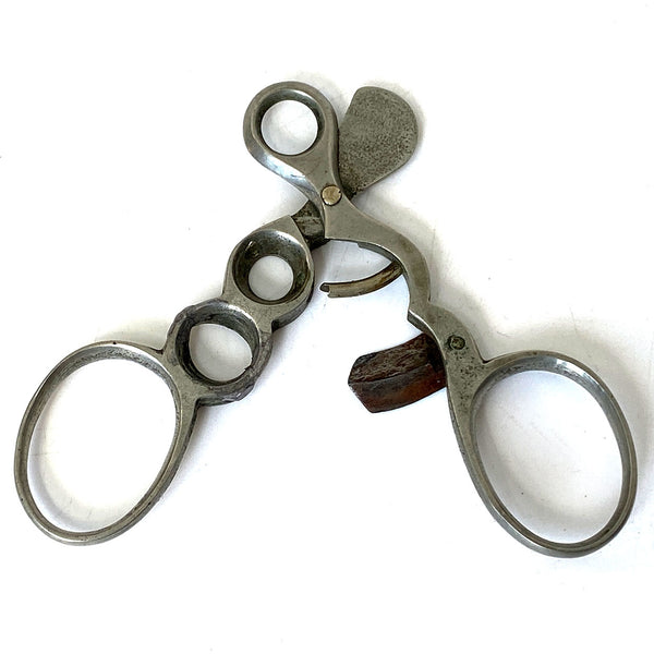 Victorian Horn Snuff Box and Cigar Cutter
