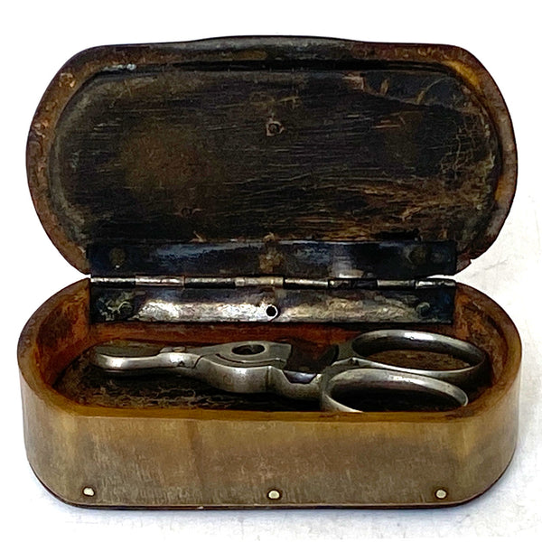 Victorian Horn Snuff Box and Cigar Cutter