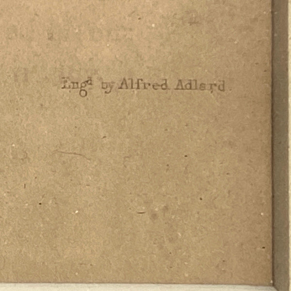 ALFRED ADLARD Colored Engraving, Florist's Journal Botanical, 3 Erica Flowers