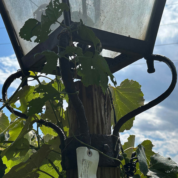 Victorian Copper and Glass Three-Light Street Post Lantern