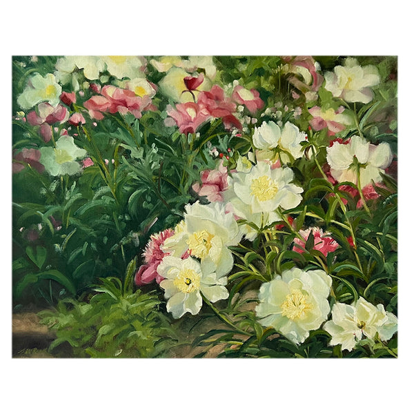 S. W. REED Oil on Canvas Painting, Pink and White Garden Peony Flowers