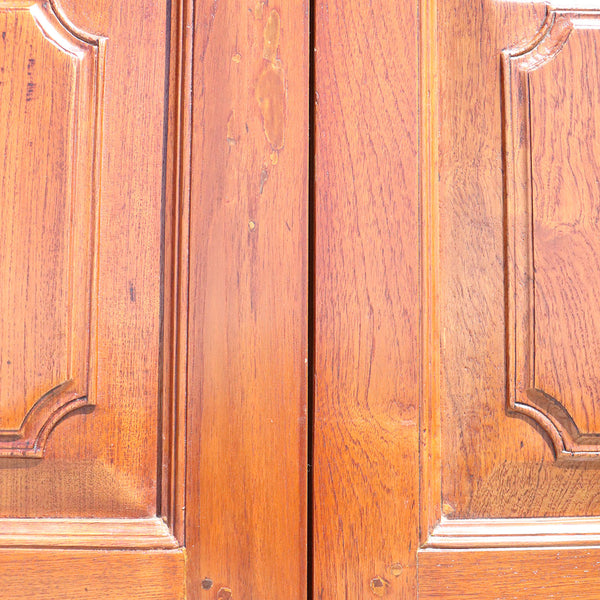 Large Anglo Indian Paneled Teak Double Door with Frame