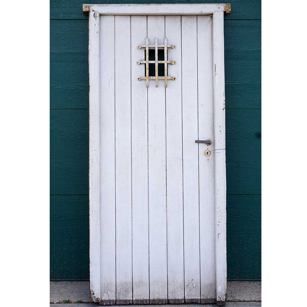 Spanish Style White Painted Pine and Iron Single Door