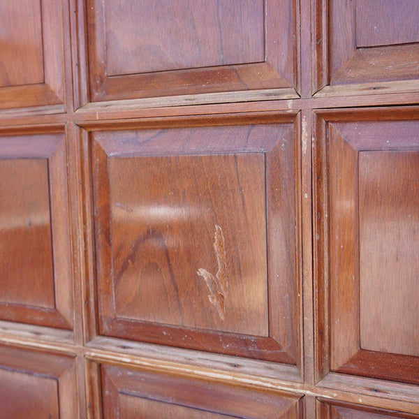 Vintage Argentine Solid Mahogany Paneled Single Sliding Door