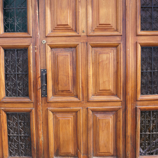 Spanish Colonial Style Paneled Walnut and Forged Iron Single Entry Door and Sidelights