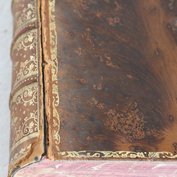 Leather Book: The Works of Lord Tennyson Poet Laureate