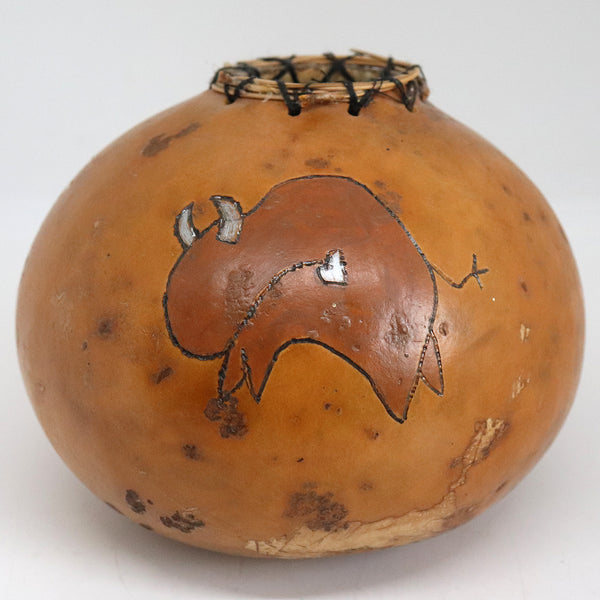 Vintage Native American Buffalo Hand Painted Bison Gourd Seed Pot