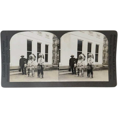 American Keystone View Stereoview Card, White Bear Face, President Harding