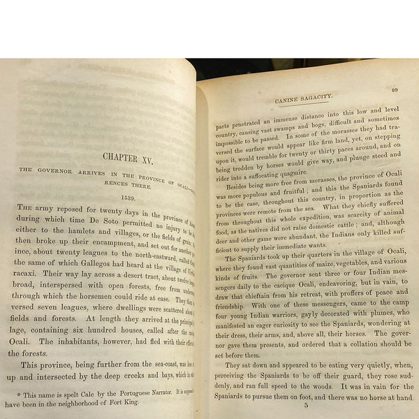 Book: The Conquest of Florida by Hernando de Soto by Theodore Irving