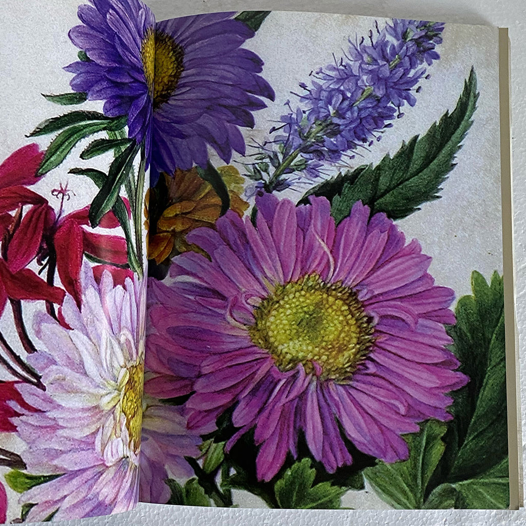 Book: Drawn and Colored by a Lady, Four Centuries of Female Artists by ...