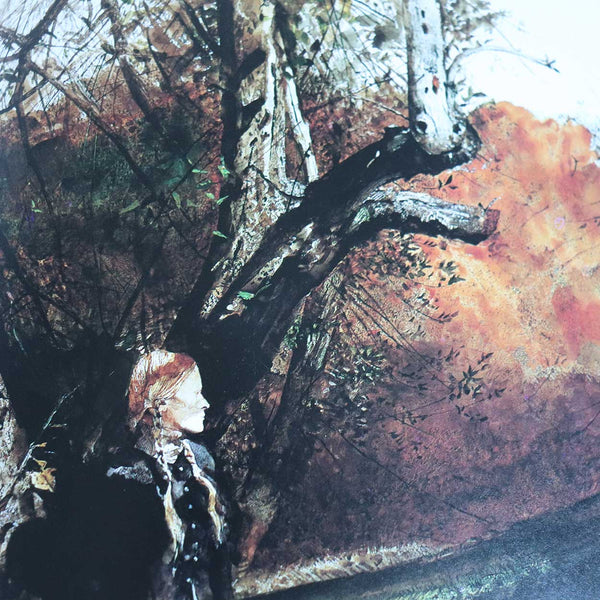 Vintage Art Book: Andrew Wyeth, The Helga Pictures by John Wilmerding