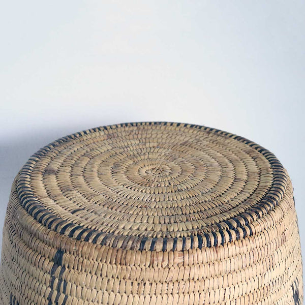 Unusually Large Native American Pima/Papago Lizards and Animal Coiled Basket 23.5 inches