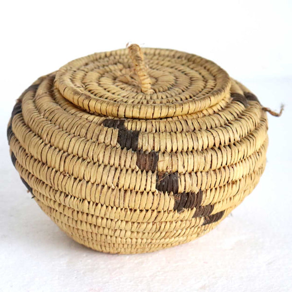 Small Vintage Native American Pima / Papago Handmade Coiled Lidded Basket