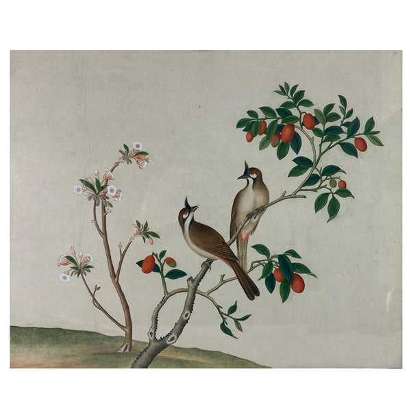 Indian Company School Watercolor Painting, Red-Whiskered Bulbul Birds