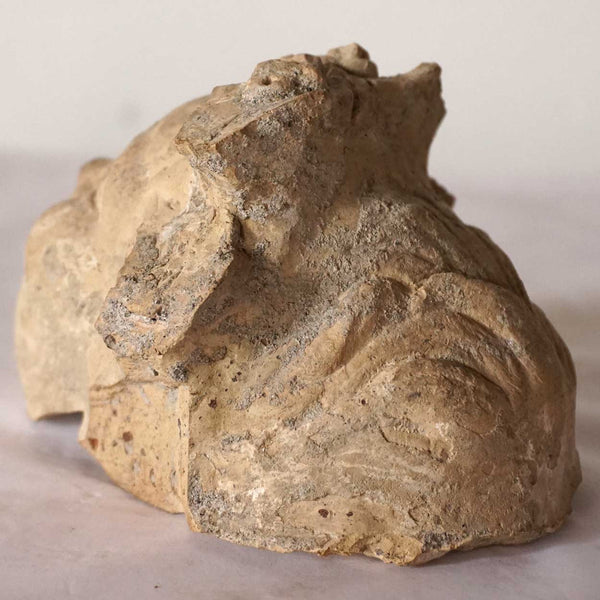 Small Ancient Pottery Mask with Case