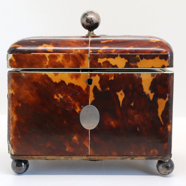 English Regency Tortoiseshell Double Tea Caddy