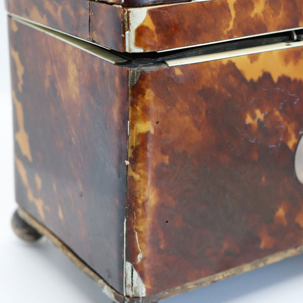 English Regency Tortoiseshell Double Tea Caddy