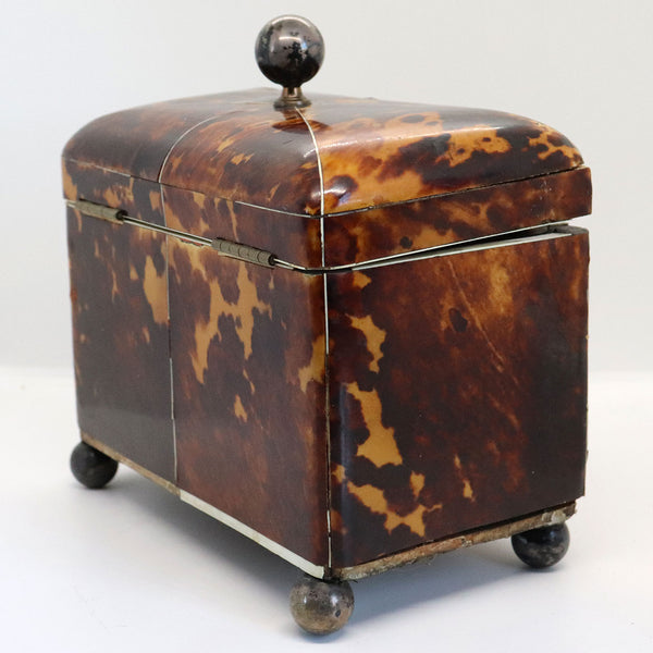 English Regency Tortoiseshell Double Tea Caddy