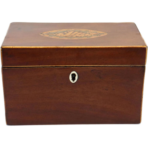 English George III Mahogany Satinwood Inlaid Conch Shell Tea Caddy Box