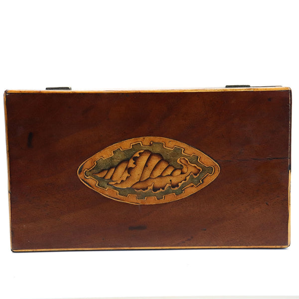 English George III Mahogany Satinwood Inlaid Conch Shell Tea Caddy Box