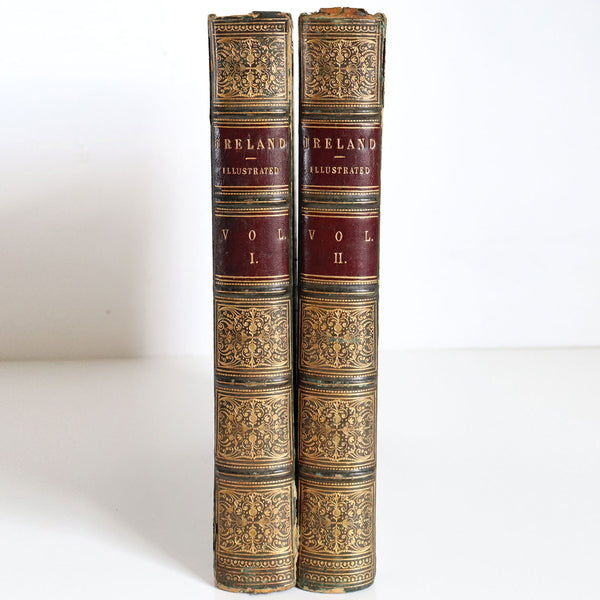 Two Volumes Books: The Scenery and Antiquities of Ireland by N.P. Willis & J. Stirling Coyne