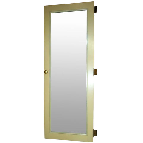 Vintage American Painted Pine/Poplar Mirrored Belcaro Mansion Single Closet Door