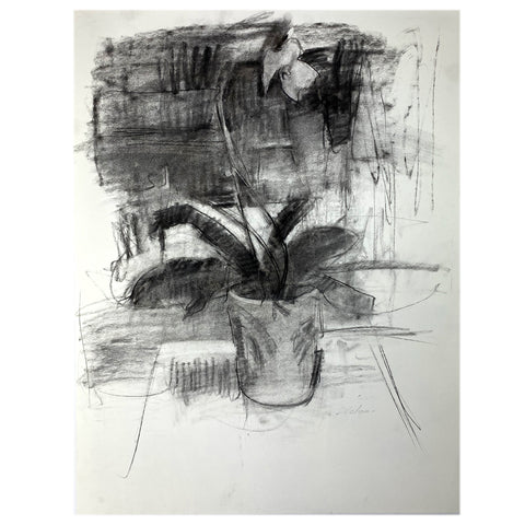 MIKAEL OLSON Charcoal on Paper Double-Sided Drawing, Orchid