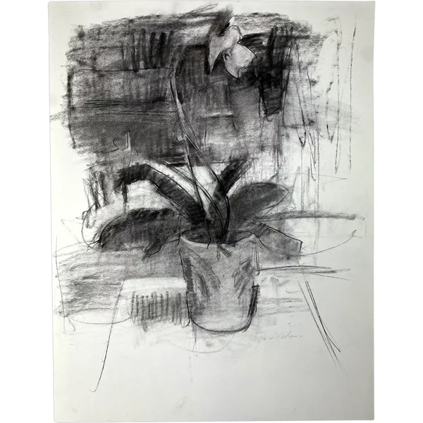 MIKAEL OLSON Charcoal on Paper Double-Sided Drawing, Orchid