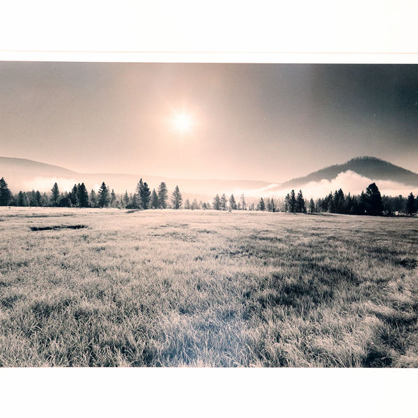 BARBARA VAN CLEVE Black and White Photograph, Morning Frost