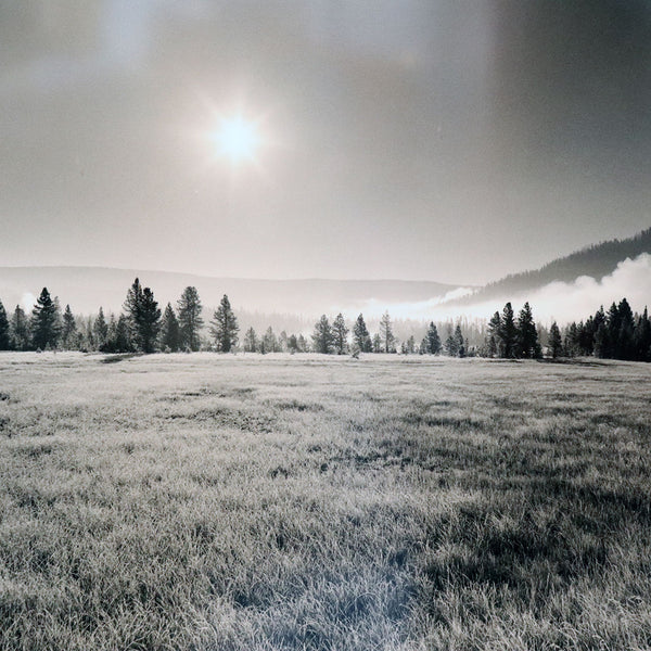 BARBARA VAN CLEVE Black and White Photograph, Morning Frost