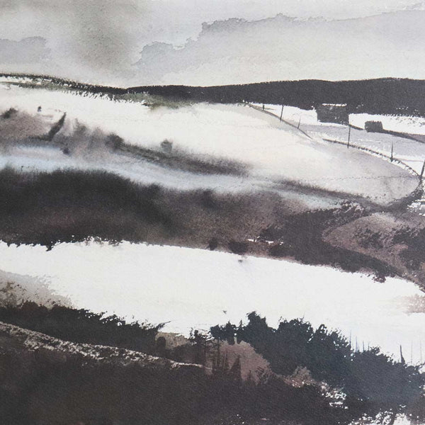 Vintage ANDREW WYETH Lithograph Print, Zoar Valley
