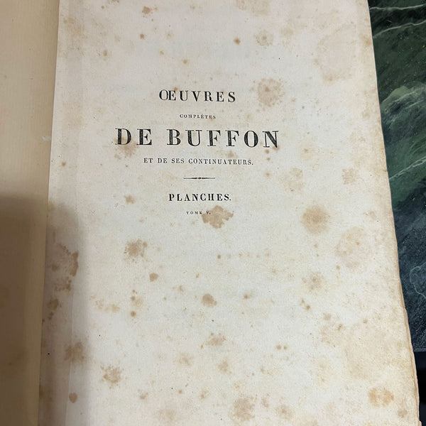 French Book: Oeuvres Complètes de Buffon by Buffon and Daubenton, Vol. 5