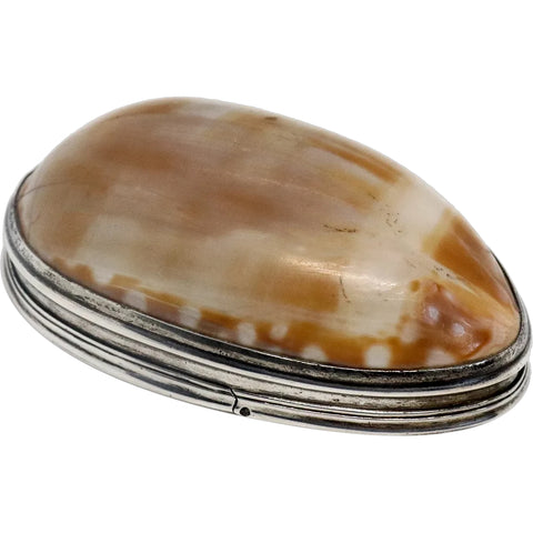 American Silver Mounted Cowrie Shell Snuff Box