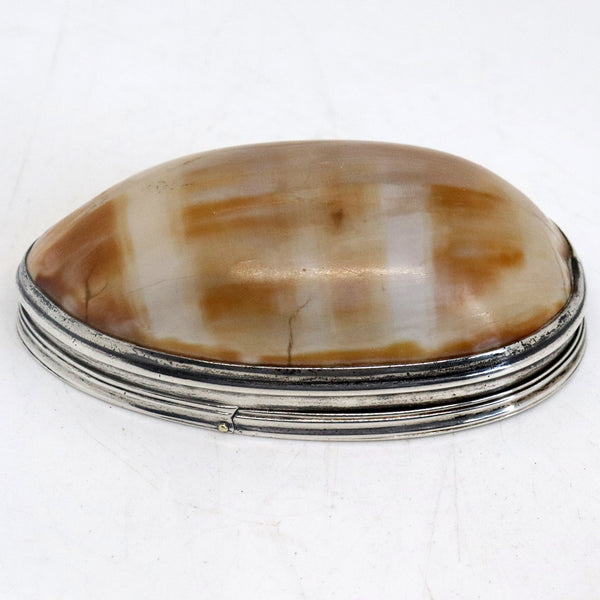 American Silver Mounted Cowrie Shell Snuff Box